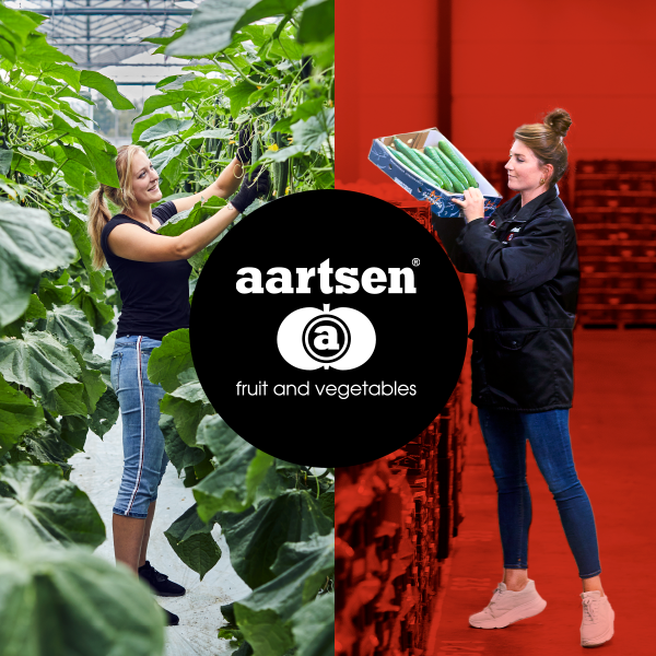 Aartsen